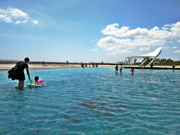 东堤公园 | 沿海漫步,游走于生态人文之间 - 天津泰达绿化科技集团